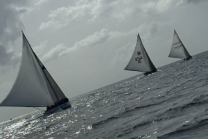 img 6132 edit cropped